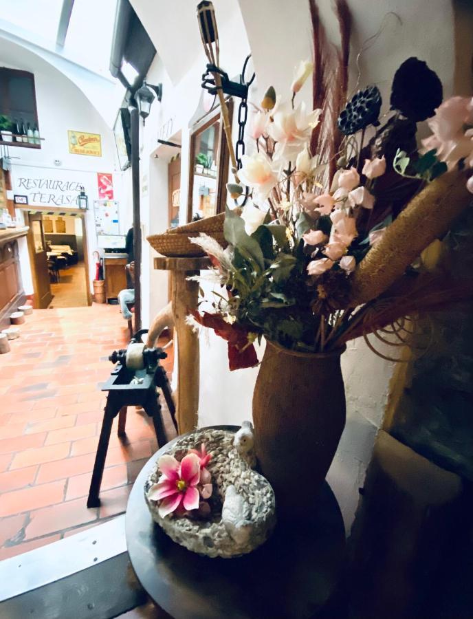 Kristinka Hotel Český Krumlov Eksteriør billede